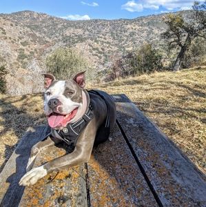 Meet your Posher, Jen